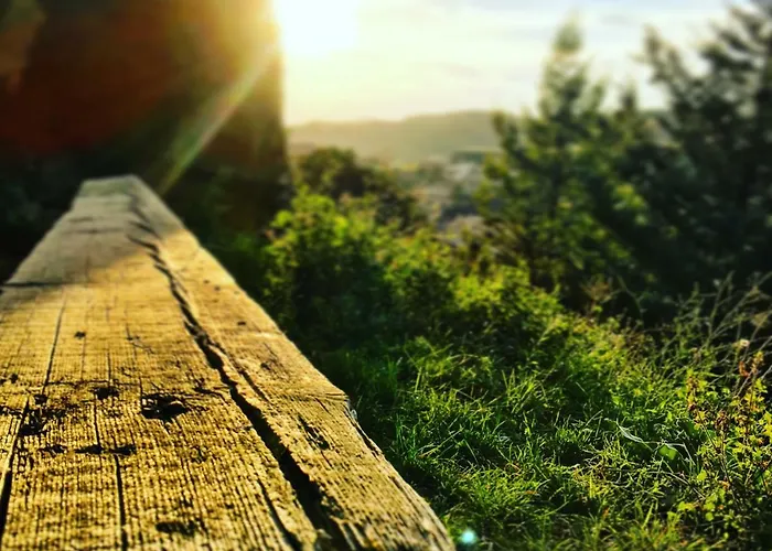 Hostel Bar Restaurante De