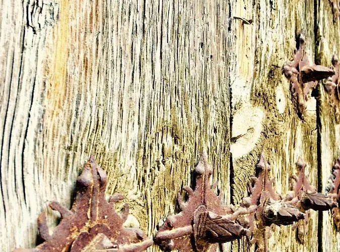 Bar Restaurante De Hostel *